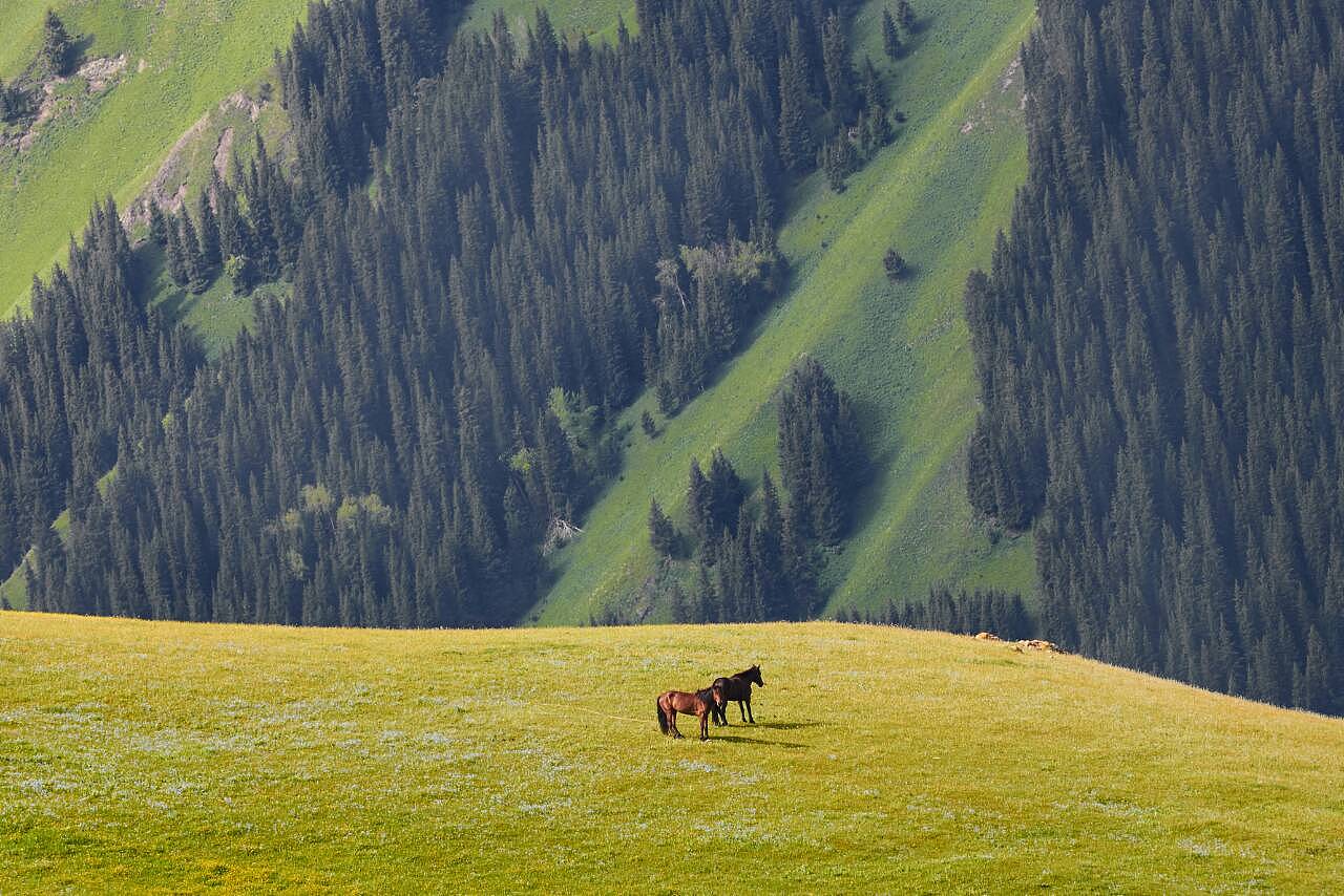 新疆，多元文化交融的瑰宝之地
